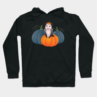 Awesome Possum In A Pumpkin Hoodie